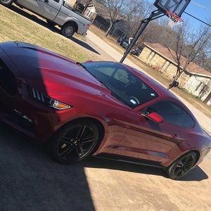 Meet your Posher, Rhys